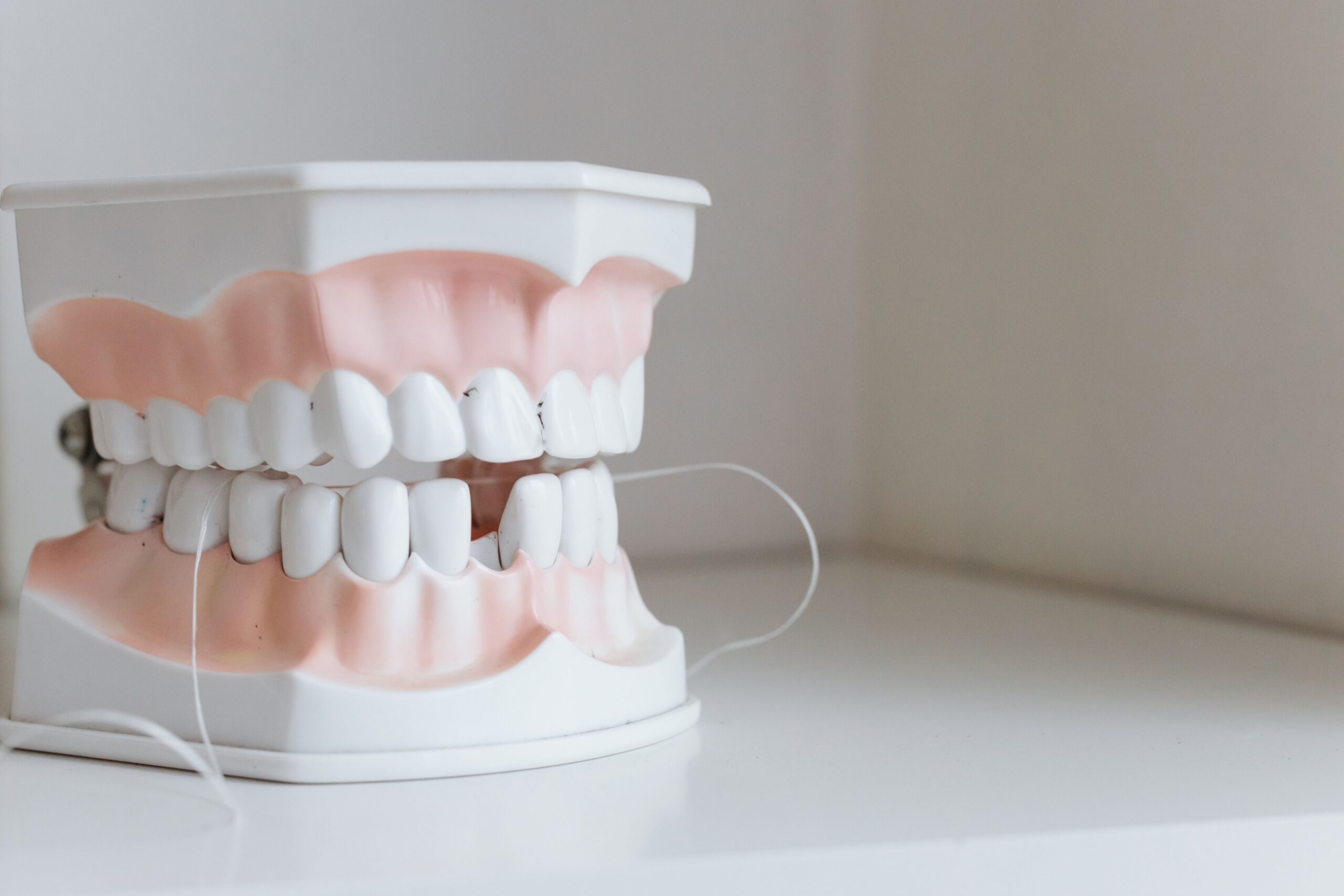 A dentist explaining an implant and crown to a patient