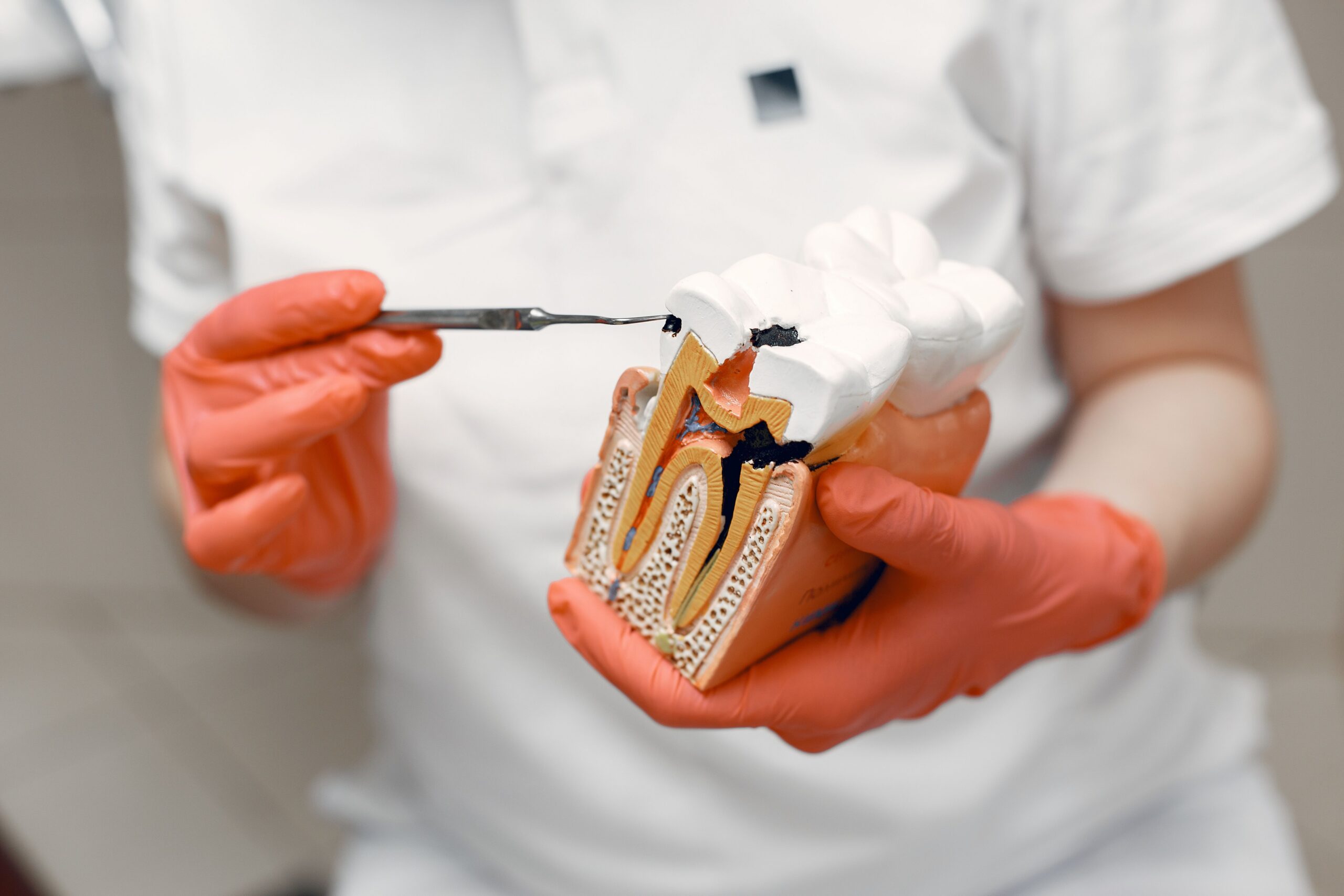 A close-up of a dental examination