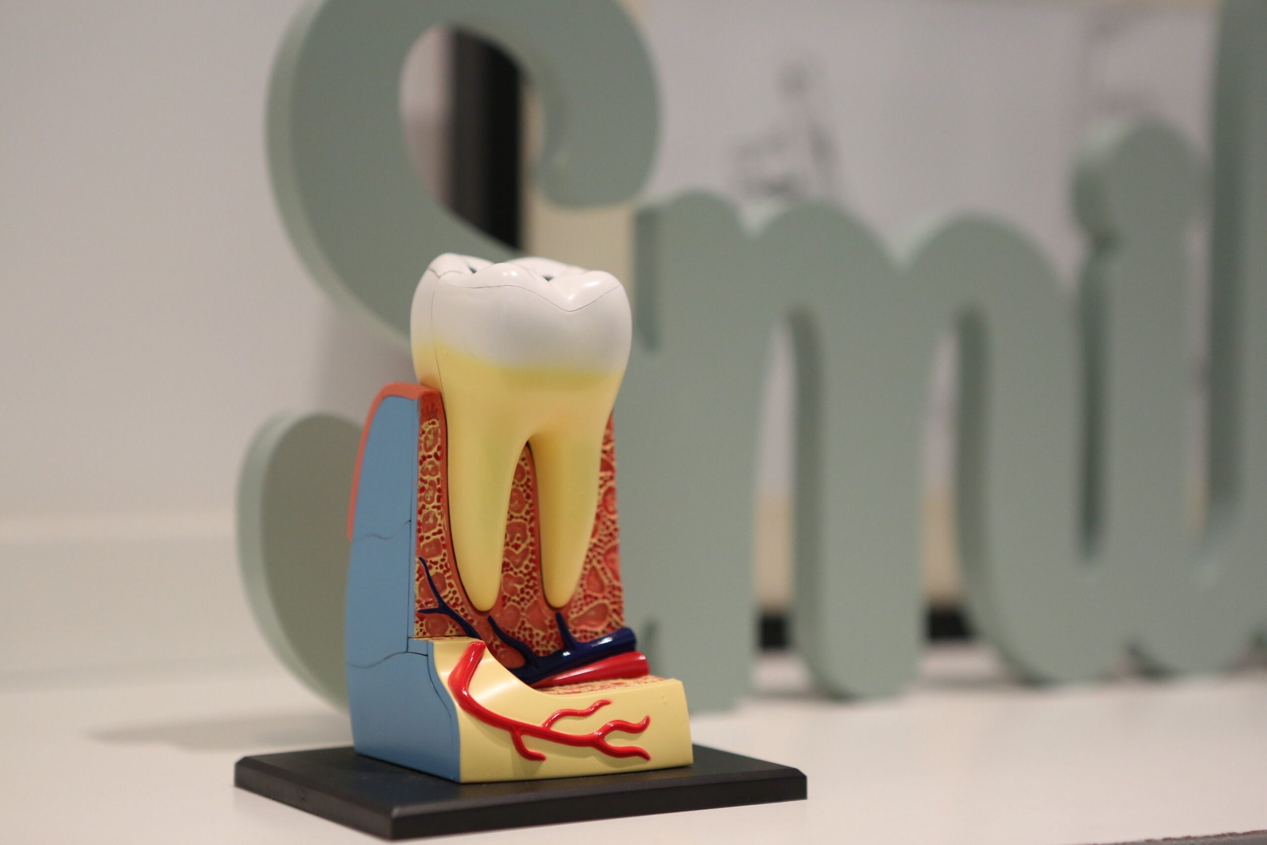 A dental professional discussing a tooth shade with a patient
